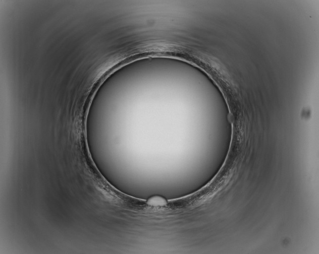 X0000100341073200806121145