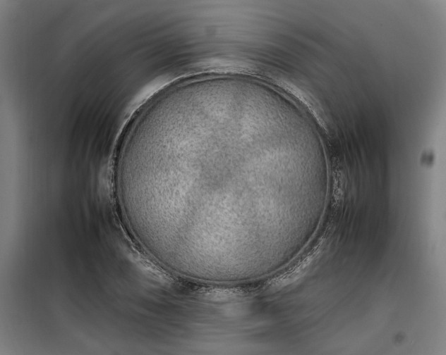 X0000100341074200806121145