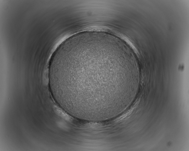 X0000100341075200806121145