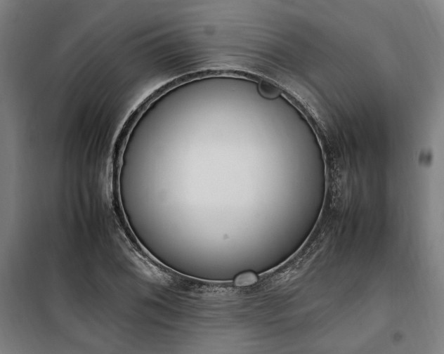 X0000100341076200806121145