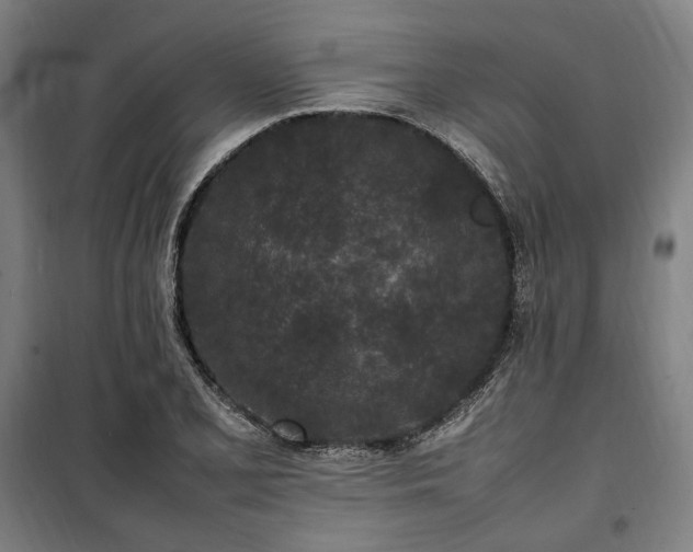 X0000100341077200806121145