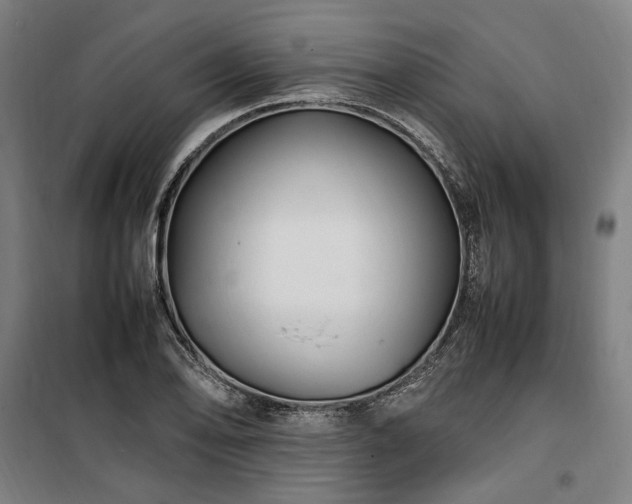 X0000100341078200806121145