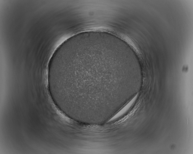 X0000100341079200806121145