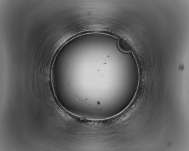 X0000100341081200806121145