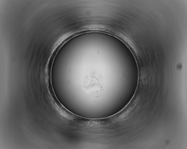 X0000100341082200806121145