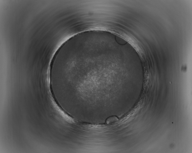 X0000100341084200806121145