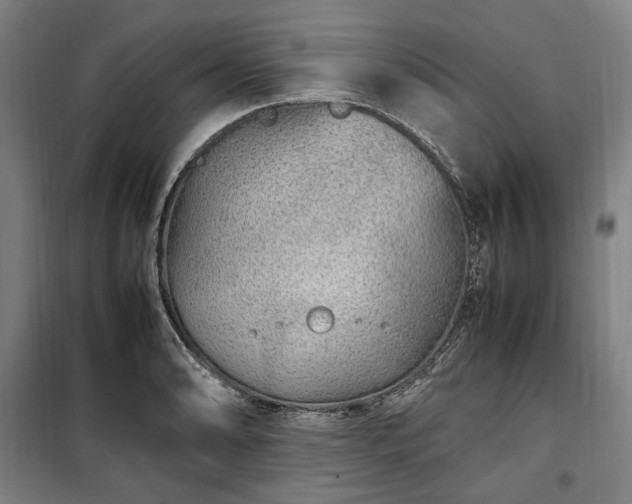 X0000100341086200806121145