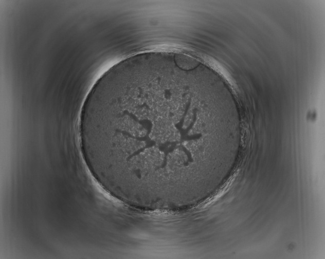 X0000100341087200806121145