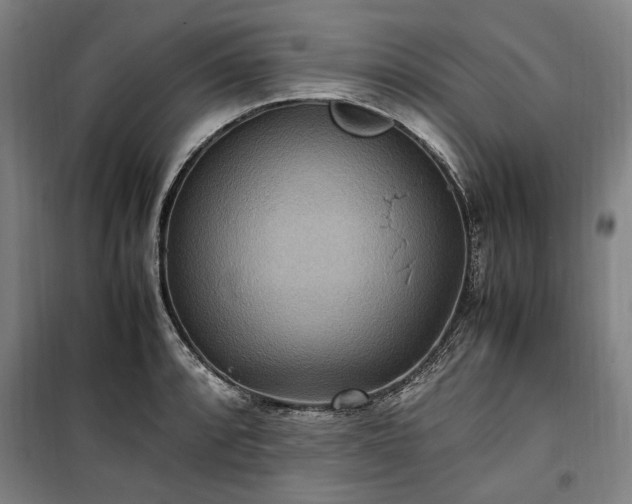 X0000100341088200806121145