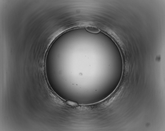 X0000100341089200806121145