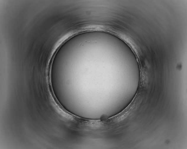 X0000100341090200806121145