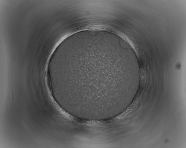 X0000100341091200806121145