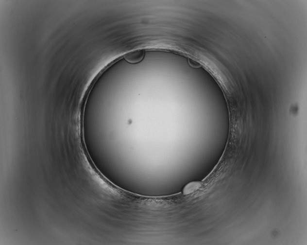 X0000100341092200806121145