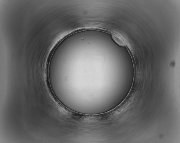 X0000100341093200806121145