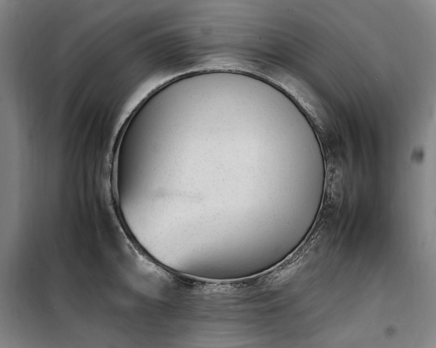 X0000100341094200806121145