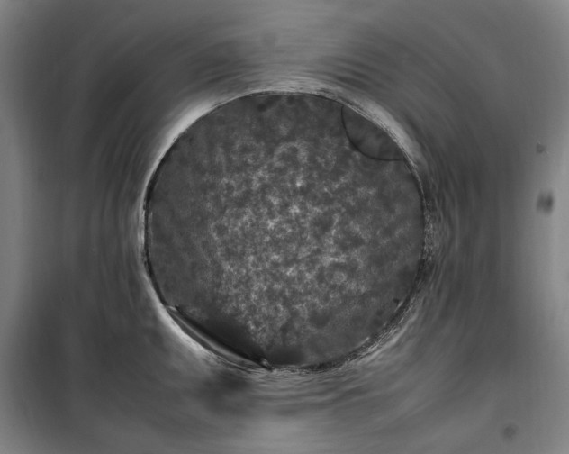 X0000100341095200806121145