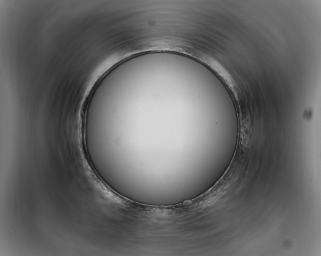 X0000100341096200806121145