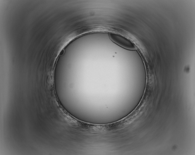 X0000100341097200806121145