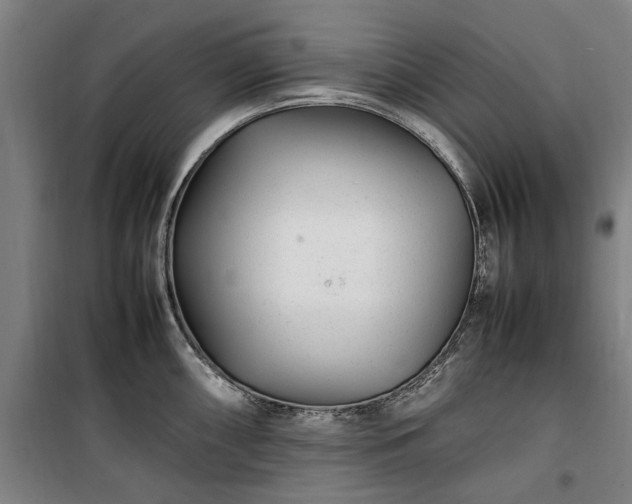 X0000100341098200806121145