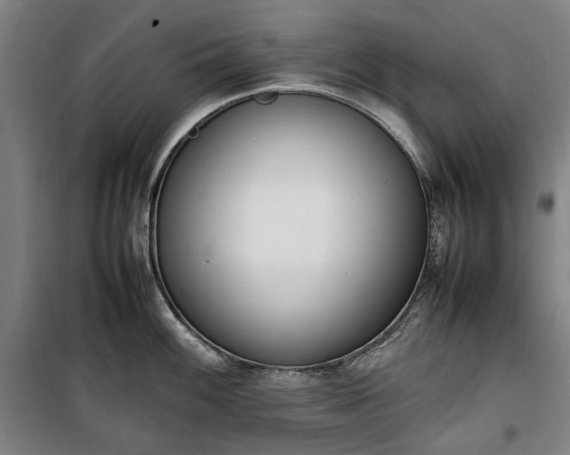 X0000100341100200806121145