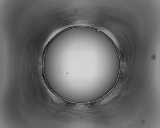 X0000100341101200806121145