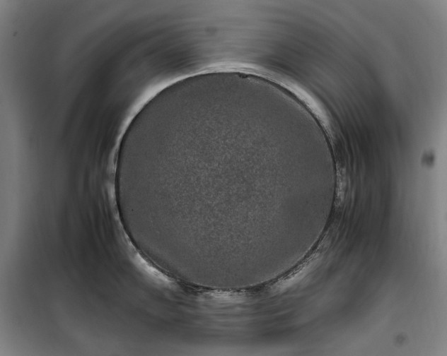 X0000100341102200806121145