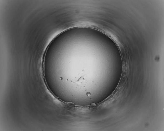 X0000100341103200806121145