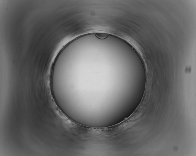 X0000100341104200806121145