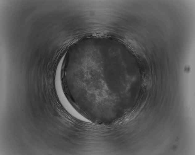 X0000100341106200806121144