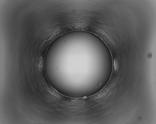 X0000100341107200806121144