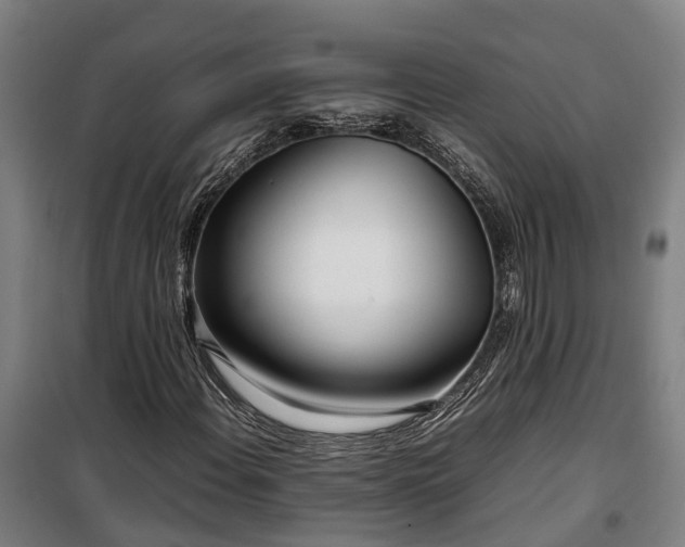 X0000100341108200806121144