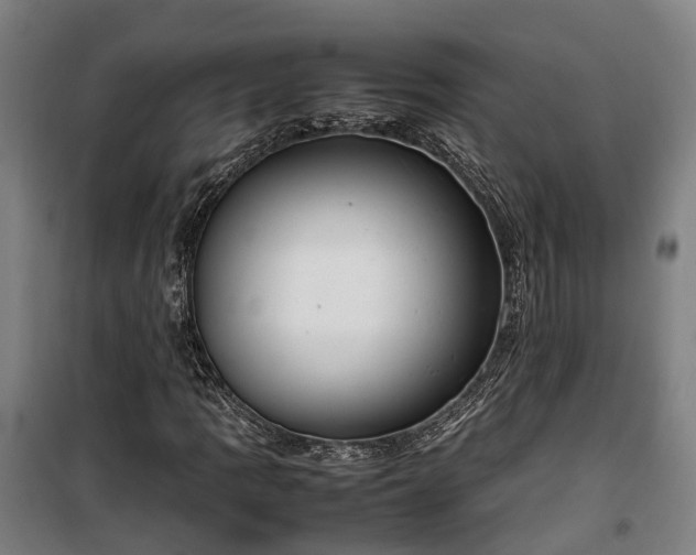 X0000100341109200806121144