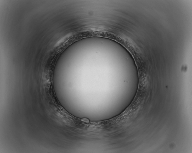 X0000100341110200806121144