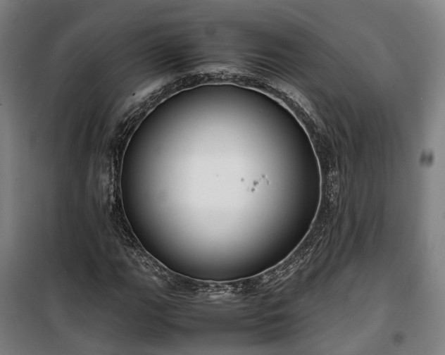 X0000100341111200806121144