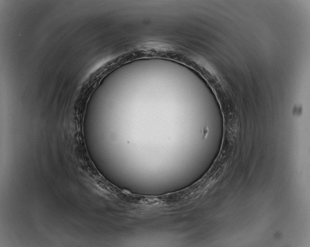 X0000100341112200806121144