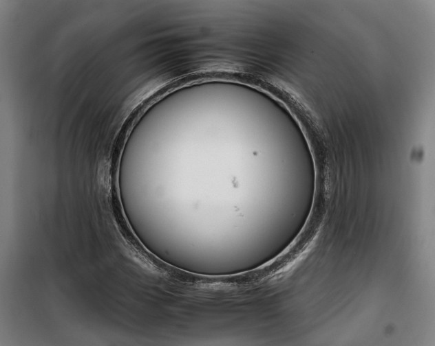 X0000100341113200806121144