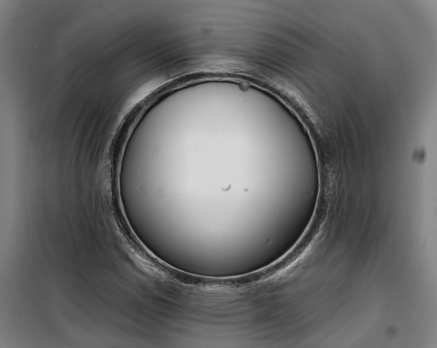 X0000100341114200806121144