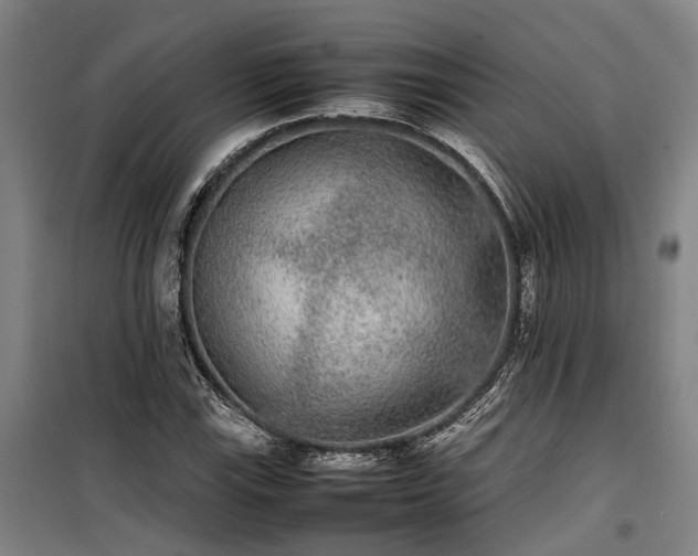 X0000100341115200806121144