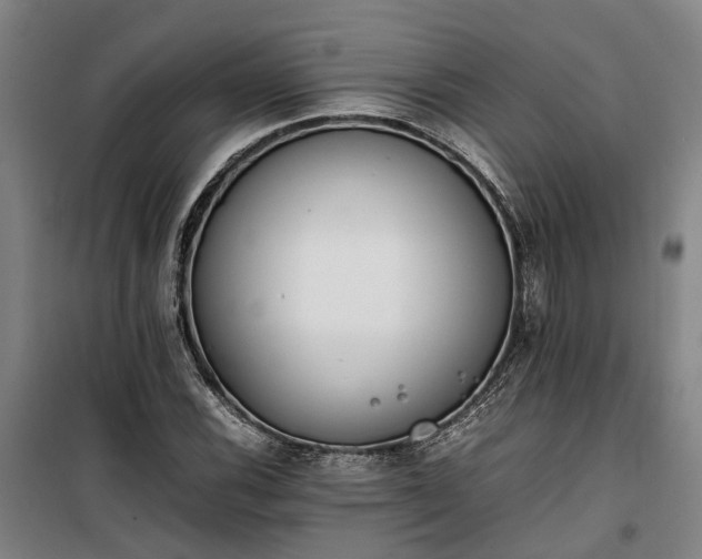 X0000100341116200806121144