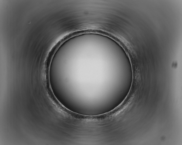 X0000100341118200806121144