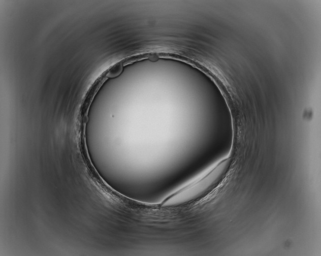 X0000100341119200806121144