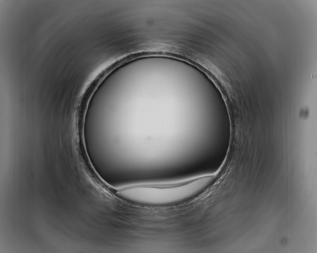 X0000100341120200806121144