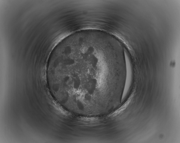 X0000100341121200806121144