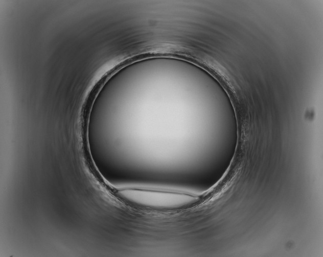 X0000100341122200806121144