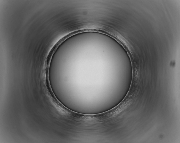 X0000100341124200806121144