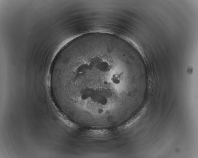 X0000100341125200806121144