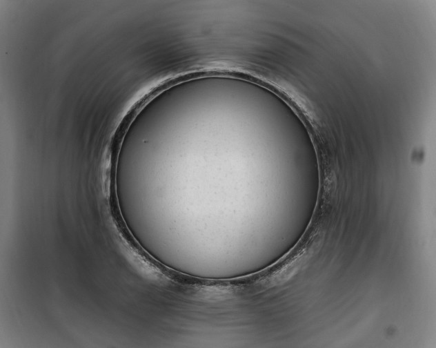 X0000100341126200806121144