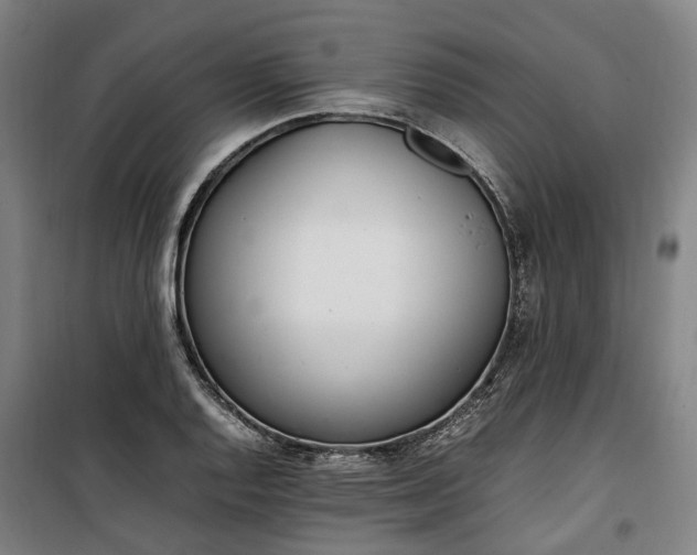 X0000100341128200806121144