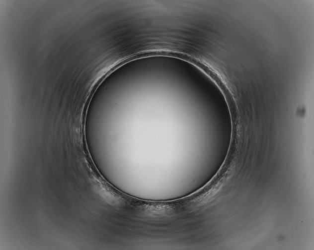 X0000100341129200806121144