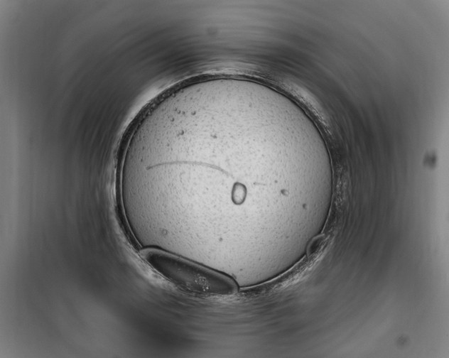 X0000100341130200806121144